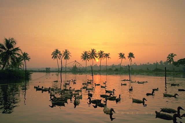 Kerala Tour